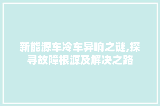 新能源车冷车异响之谜,探寻故障根源及解决之路