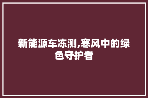 新能源车冻测,寒风中的绿色守护者