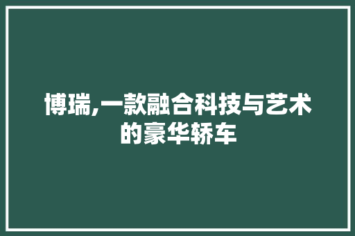 博瑞,一款融合科技与艺术的豪华轿车