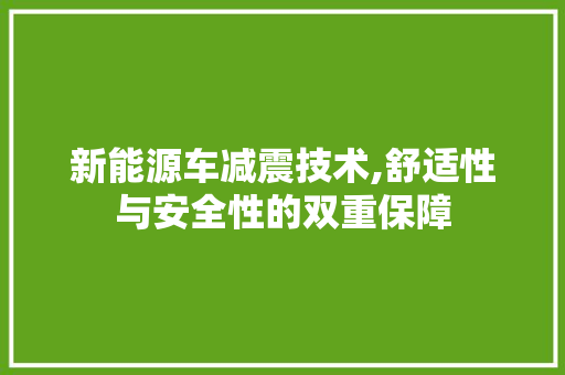 新能源车减震技术,舒适性与安全性的双重保障