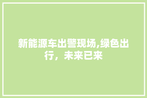 新能源车出警现场,绿色出行，未来已来