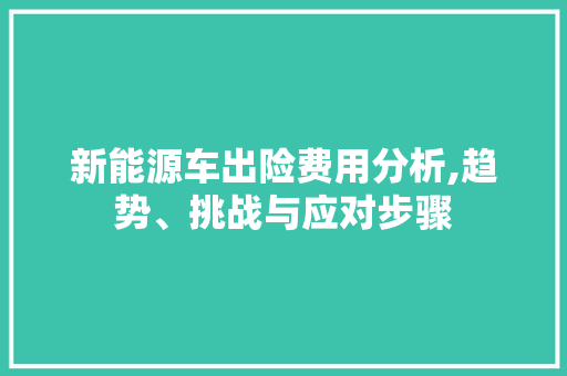 新能源车出险费用分析,趋势、挑战与应对步骤