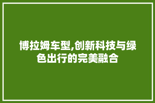 博拉姆车型,创新科技与绿色出行的完美融合