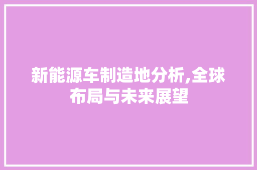 新能源车制造地分析,全球布局与未来展望