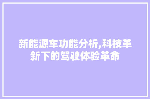 新能源车功能分析,科技革新下的驾驶体验革命