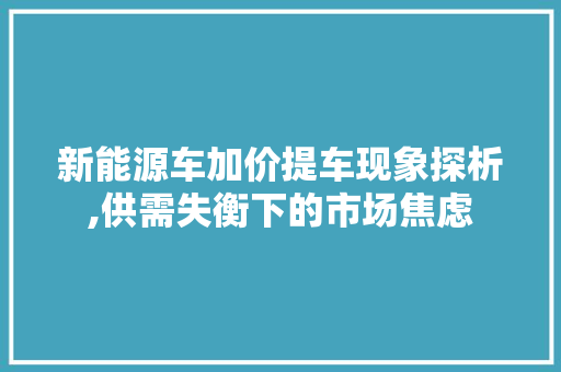 新能源车加价提车现象探析,供需失衡下的市场焦虑