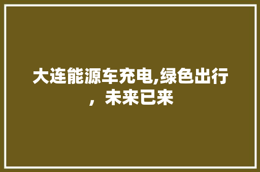 大连能源车充电,绿色出行，未来已来