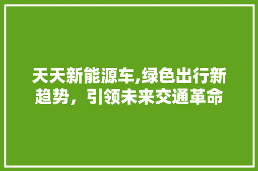 天天新能源车,绿色出行新趋势，引领未来交通革命