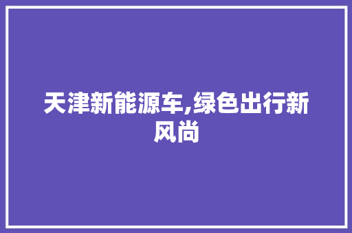 天津新能源车,绿色出行新风尚