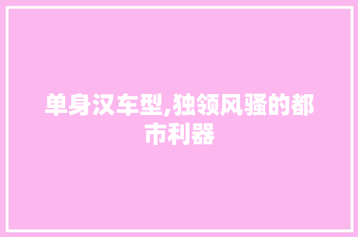 单身汉车型,独领风骚的都市利器