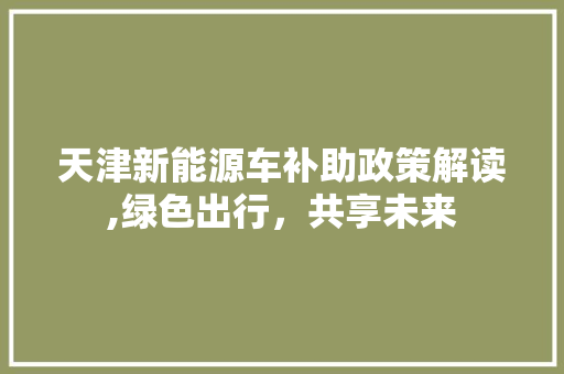 天津新能源车补助政策解读,绿色出行，共享未来