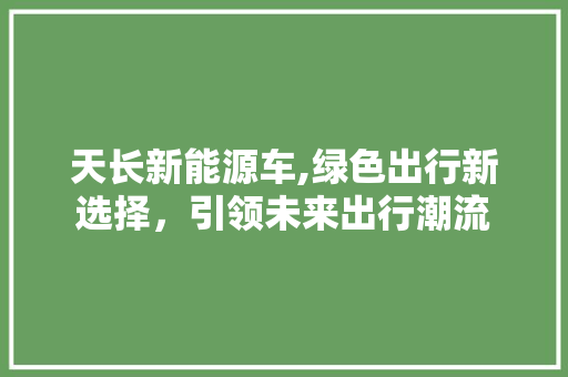 天长新能源车,绿色出行新选择，引领未来出行潮流