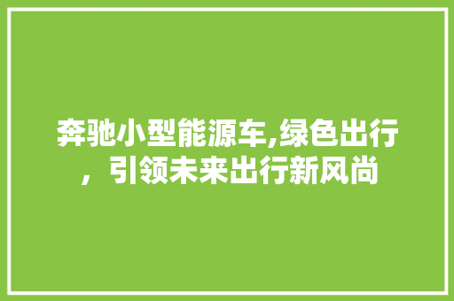 奔驰小型能源车,绿色出行，引领未来出行新风尚