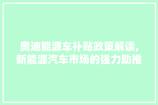 奥迪能源车补贴政策解读,新能源汽车市场的强力助推器