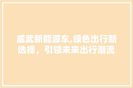 威武新能源车,绿色出行新选择，引领未来出行潮流