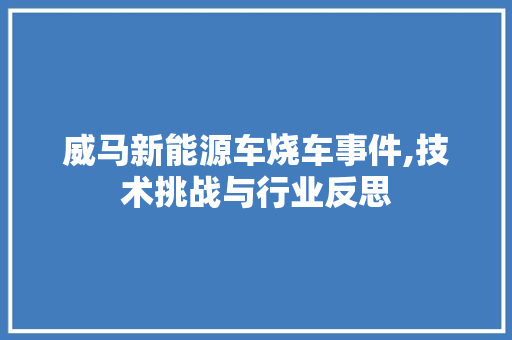 威马新能源车烧车事件,技术挑战与行业反思