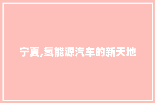 宁夏,氢能源汽车的新天地