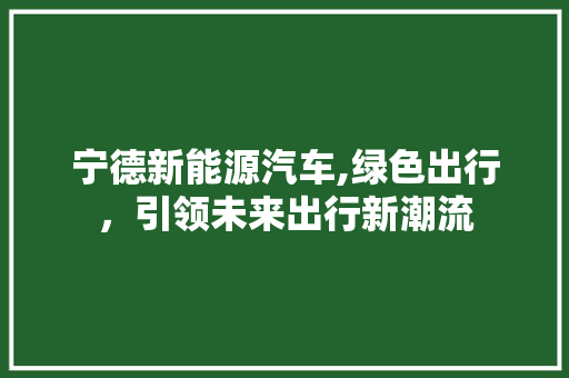 宁德新能源汽车,绿色出行，引领未来出行新潮流 新能源汽车