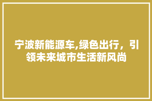 宁波新能源车,绿色出行，引领未来城市生活新风尚