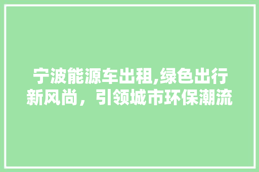 宁波能源车出租,绿色出行新风尚，引领城市环保潮流