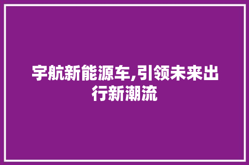宇航新能源车,引领未来出行新潮流 车身配件