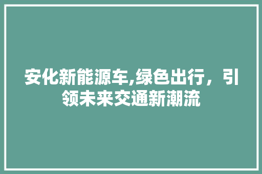安化新能源车,绿色出行，引领未来交通新潮流