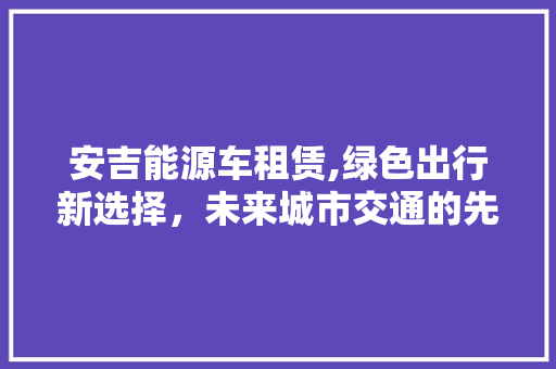 安吉能源车租赁,绿色出行新选择，未来城市交通的先锋力量