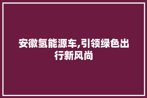 安徽氢能源车,引领绿色出行新风尚