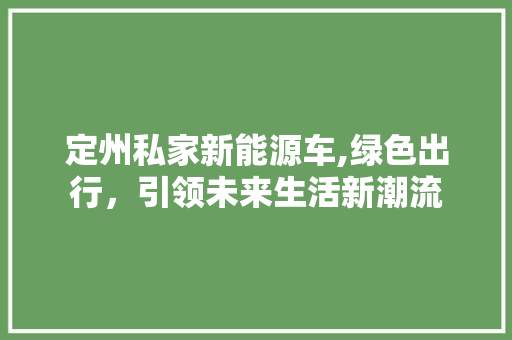 定州私家新能源车,绿色出行，引领未来生活新潮流