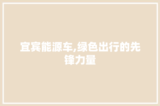 宜宾能源车,绿色出行的先锋力量