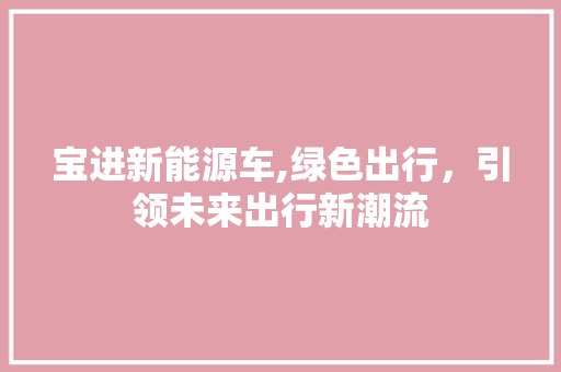 宝进新能源车,绿色出行，引领未来出行新潮流
