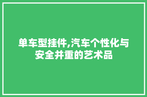 单车型挂件,汽车个性化与安全并重的艺术品