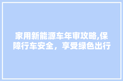 家用新能源车年审攻略,保障行车安全，享受绿色出行
