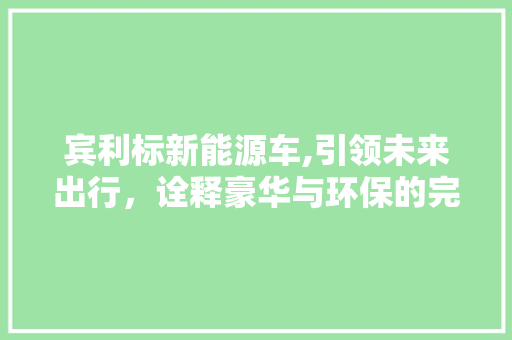 宾利标新能源车,引领未来出行，诠释豪华与环保的完美融合