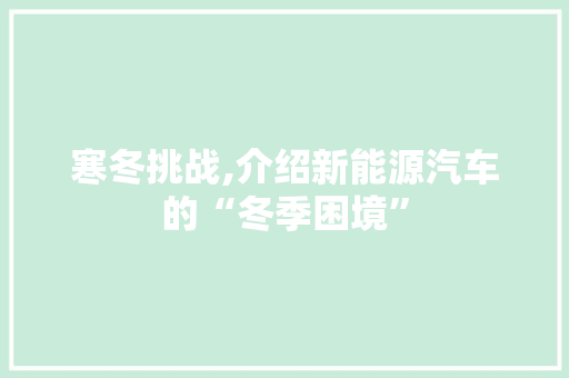寒冬挑战,介绍新能源汽车的“冬季困境”