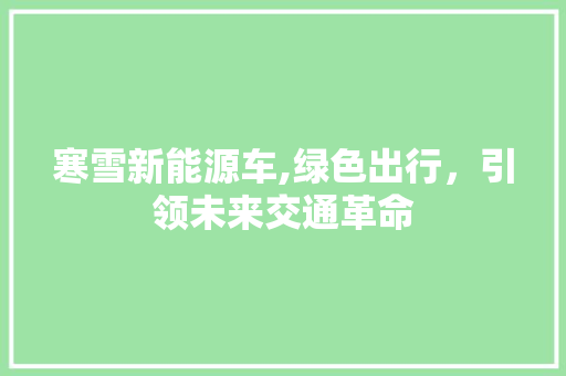 寒雪新能源车,绿色出行，引领未来交通革命