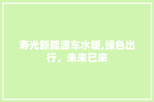 寿光新能源车水暖,绿色出行，未来已来