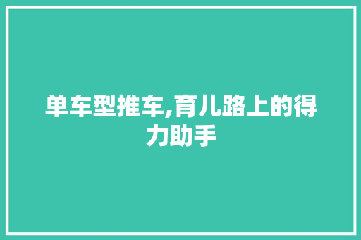 单车型推车,育儿路上的得力助手