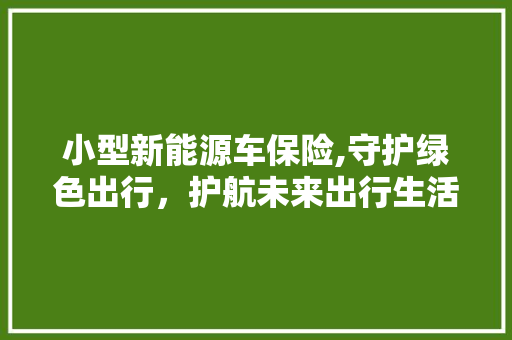 小型新能源车保险,守护绿色出行，护航未来出行生活