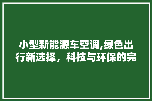 小型新能源车空调,绿色出行新选择，科技与环保的完美融合