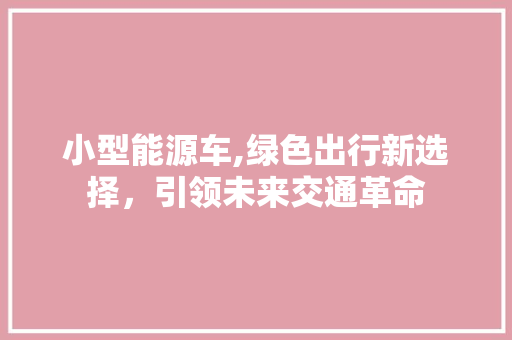 小型能源车,绿色出行新选择，引领未来交通革命