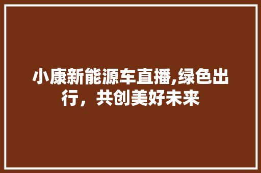 小康新能源车直播,绿色出行，共创美好未来