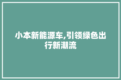 小本新能源车,引领绿色出行新潮流