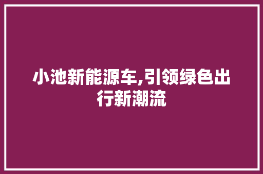 小池新能源车,引领绿色出行新潮流