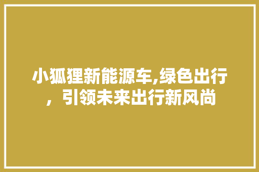 小狐狸新能源车,绿色出行，引领未来出行新风尚
