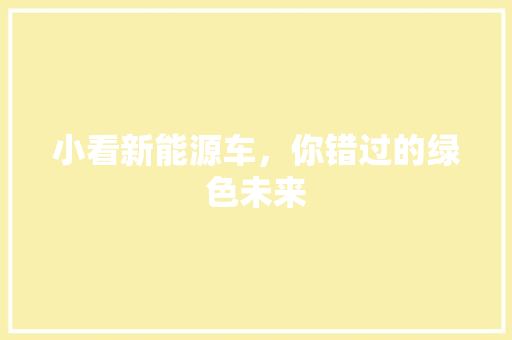 小看新能源车，你错过的绿色未来