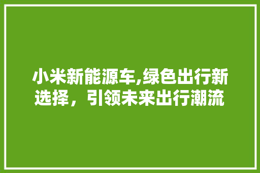 小米新能源车,绿色出行新选择，引领未来出行潮流
