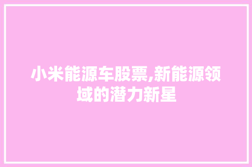 小米能源车股票,新能源领域的潜力新星
