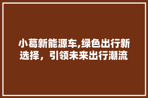 小葛新能源车,绿色出行新选择，引领未来出行潮流