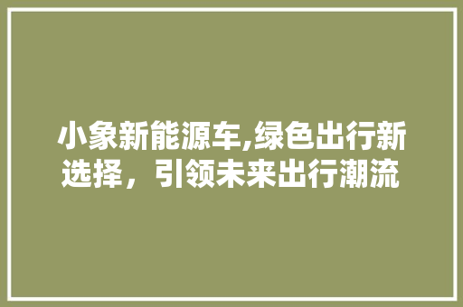 小象新能源车,绿色出行新选择，引领未来出行潮流